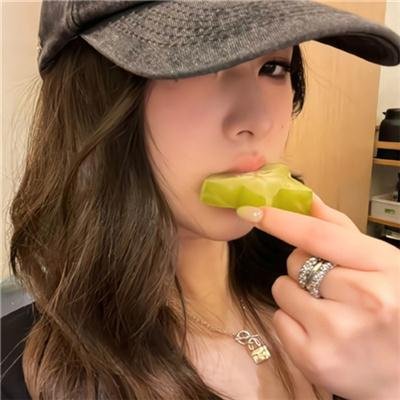 茄子行李箱的候鸟
